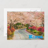 Cherry Blossom Koreanischer Frühling Postkarte (Vorne/Hinten)