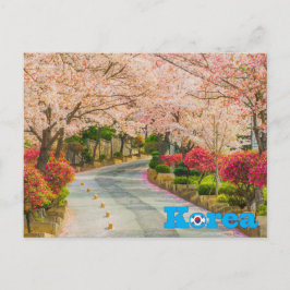 Cherry Blossom Koreanischer Frühling Postkarte