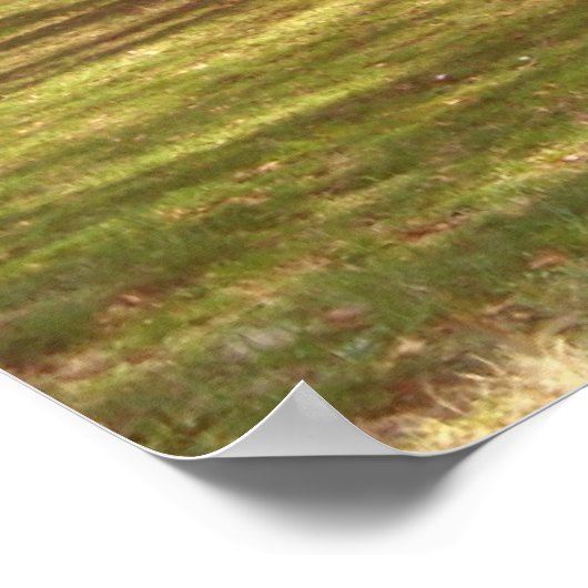 Cherry Blossom Landschaft Poster (Ecke)