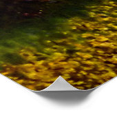 CHERRY BLOSSOM LANE, NJ. POSTER (Ecke)