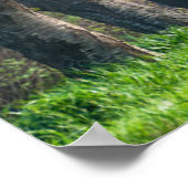 Cherry Blossom Lane Poster (Ecke)