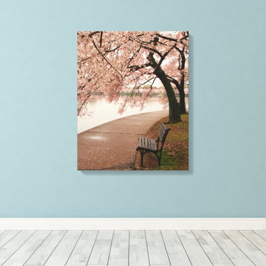 Cherry Blossom Leinwand (Insitu (Holzboden))