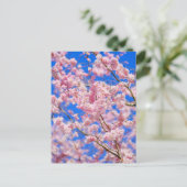Cherry Blossom London UK Postcard Postkarte (Stehend Vorderseite)