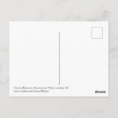 Cherry Blossom London UK Postcard Postkarte (Rückseite)