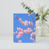 Cherry Blossom London UK Postcard Postkarte (Stehend Vorderseite)