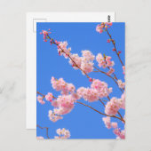 Cherry Blossom London UK Postcard Postkarte (Vorne/Hinten)