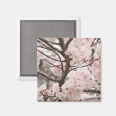Cherry Blossom Magnet (Vorderseite/Rückseite)