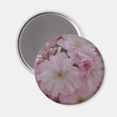 Cherry Blossom Magnet (Vorderseite/Rückseite)