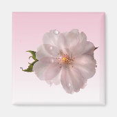Cherry Blossom Magnet (Vorne)