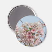 Cherry Blossom Magnet (Vorderseite/Rückseite)