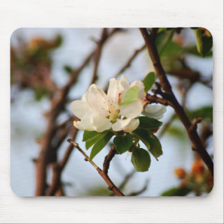 Cherry Blossom Mousepad