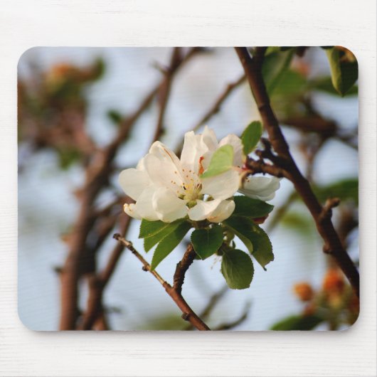 Cherry Blossom Mousepad (Vorne)