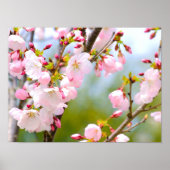 Cherry Blossom Nah Poster (Vorne)
