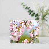 Cherry Blossom Nah Postkarte (Stehend Vorderseite)