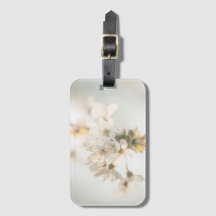 Cherry Blossom Nature Foto