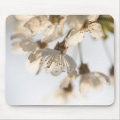 Cherry Blossom Nature Foto Mousepad (Vorne)
