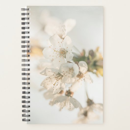 Cherry Blossom Nature Foto Planer (Vorderseite)