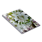 Cherry Blossom Notizblock (Rechte Seite)