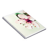 Cherry Blossom Notizblock (Rechte Seite)