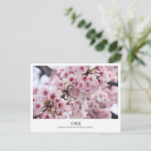 Cherry Blossom ‘Oh-kanzakura’ Postkarte (Stehend Vorderseite)