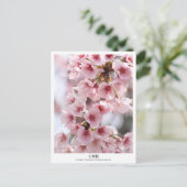 Cherry Blossom ‘Oh-kanzakura’ Postkarte (Stehend Vorderseite)