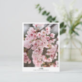 Cherry Blossom ‘Oh-kanzakura’ Postkarte (Stehend Vorderseite)