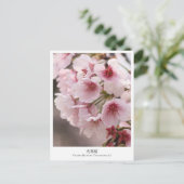 Cherry Blossom ‘Oh-kanzakura’ Postkarte (Stehend Vorderseite)