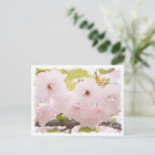 Cherry Blossom "Ojochin" ポストカード Postkarte (Stehend Vorderseite)