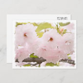 Cherry Blossom "Ojochin" ポストカード Postkarte (Vorne/Hinten)