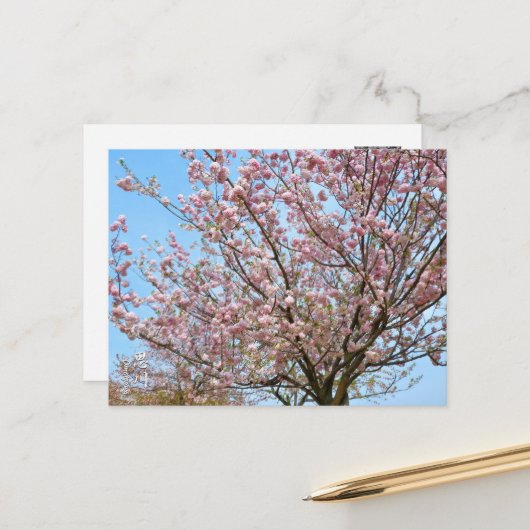 Cherry Blossom: Omoigawa Postkarte (Vorderseite/Rückseite Beispiel)