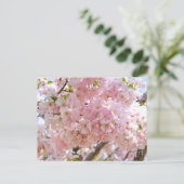 Cherry Blossom: Omoigawa Postkarte (Stehend Vorderseite)