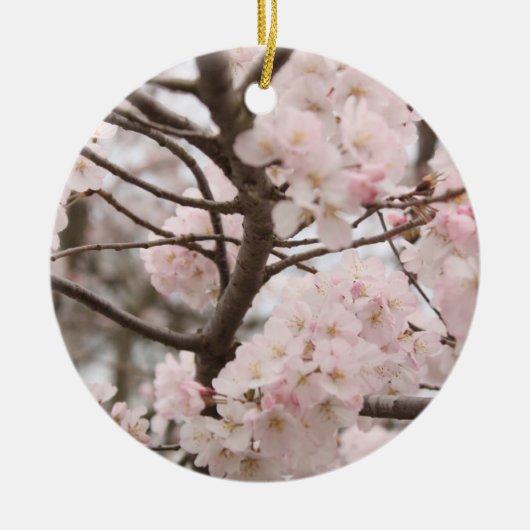 Cherry Blossom Ornament (Vorne)