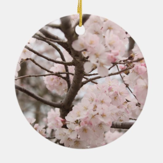 Cherry Blossom Ornament (Hinten)