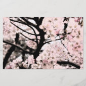 Cherry Blossom Papier (Vorderseite)