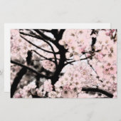 Cherry Blossom Papier (Vorne/Hinten)