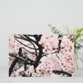 Cherry Blossom Papier (Stehend Vorderseite)