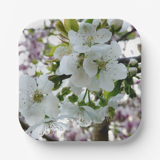 Cherry Blossom Pappteller (Vorderseite)