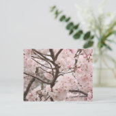 Cherry Blossom Postcard Postkarte (Stehend Vorderseite)