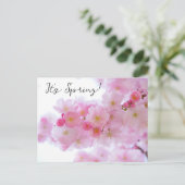 Cherry Blossom Postcard Postkarte (Stehend Vorderseite)