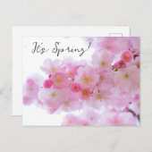 Cherry Blossom Postcard Postkarte (Vorne/Hinten)