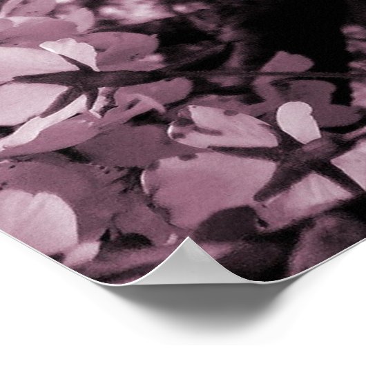 Cherry Blossom Poster (Ecke)