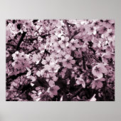 Cherry Blossom Poster (Vorne)