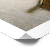 Cherry Blossom Poster (Ecke)