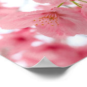 Cherry Blossom Poster (Ecke)