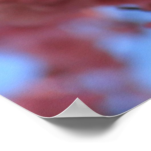 Cherry Blossom Poster (Ecke)