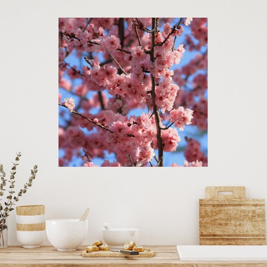 Cherry Blossom Poster (Küche)