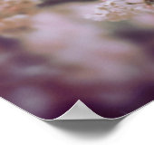 Cherry Blossom Poster (Ecke)