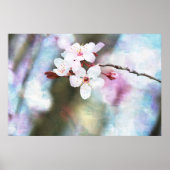 Cherry Blossom Poster (Vorne)