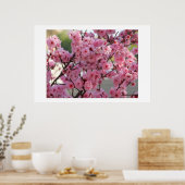 Cherry Blossom Poster (Küche)