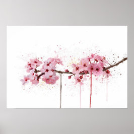 Cherry Blossom Poster